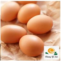 紅殼雞蛋(散裝)