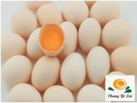 白殼雞蛋(散裝)